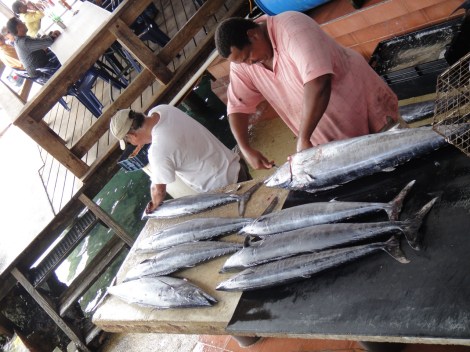 Fish at Zeerover, Aruba, DWI