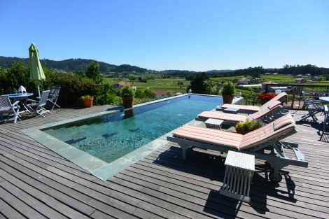 View of the swimming pool and vineyards beyond at Quinta de San Amaro, Meaño, Spain.