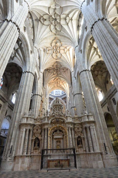 Inside Salamanca's Catedral Nueva.
